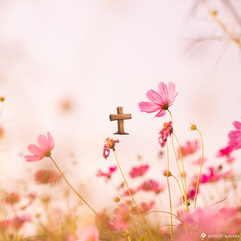 Just a mustard seed